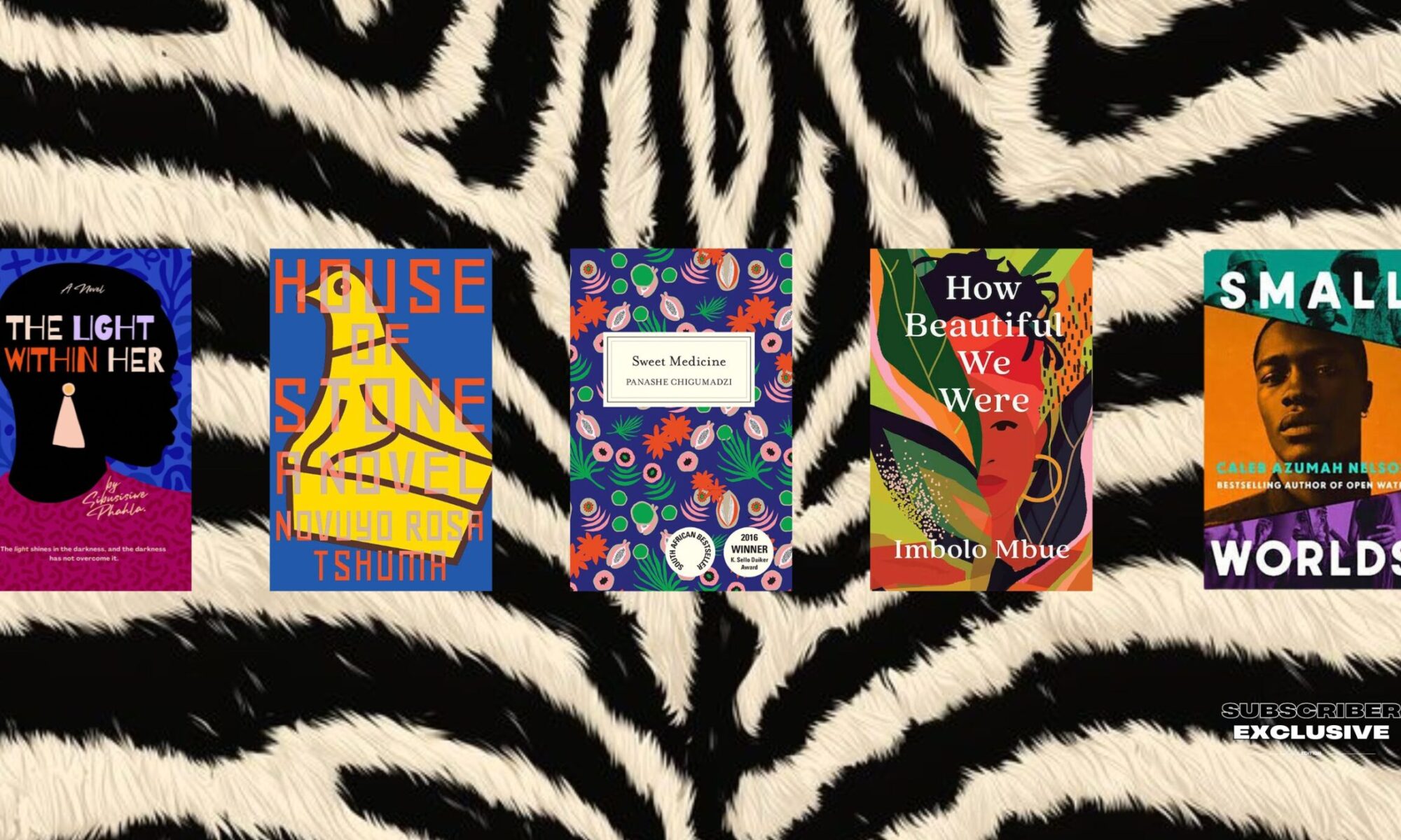 The New Generation of African Authors