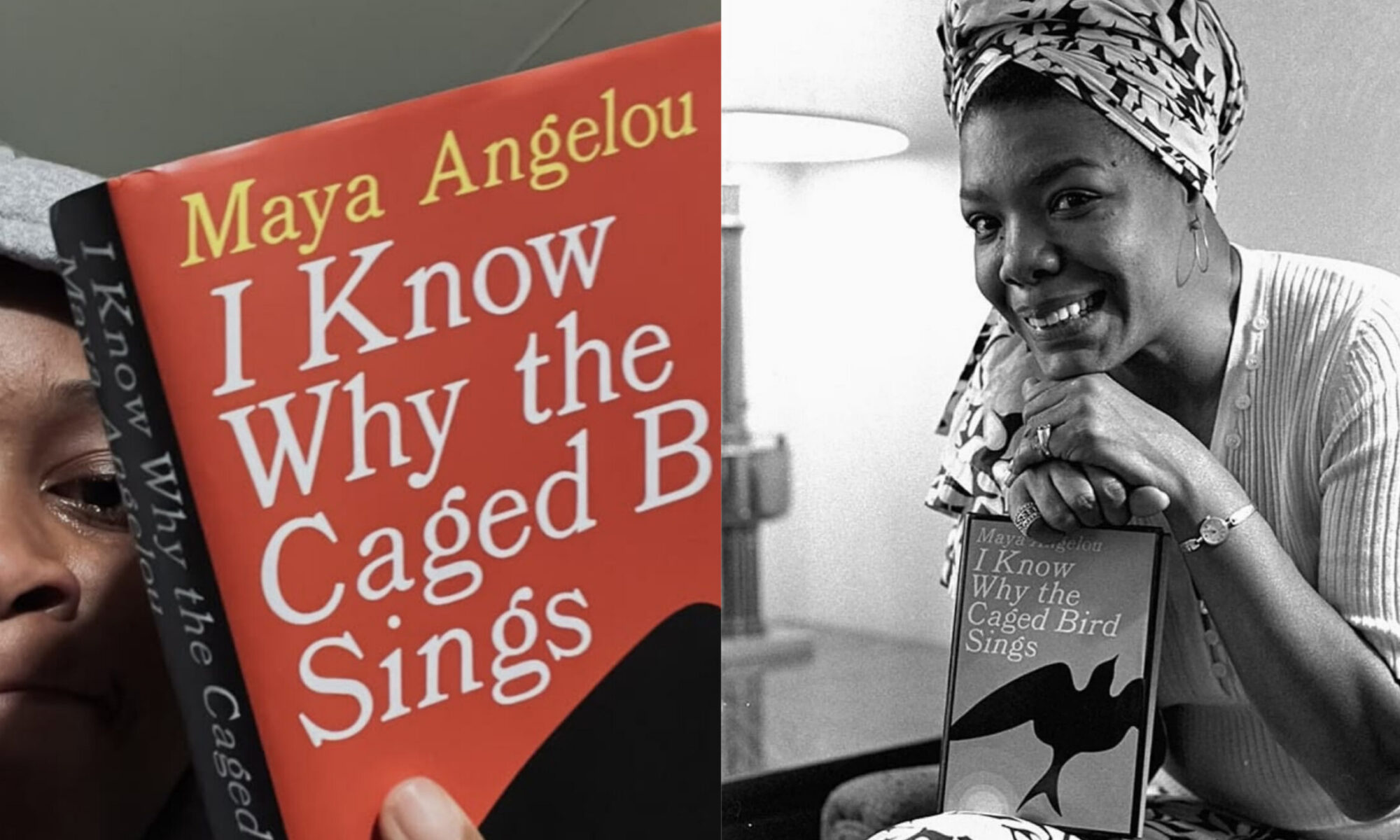 I Know Why the Caged Bird Sings by Maya Angelou: What This Classic Book Teaches Us About Growing Up