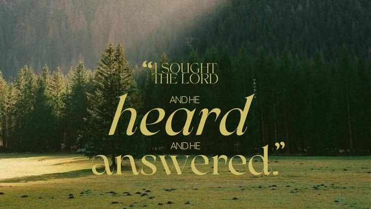 When God Leads You Somewhere You Didn’t Plan to Go: Faith, Purpose and Trust 7 image 16